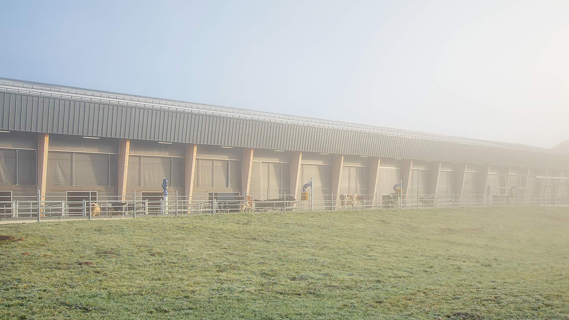 ferme